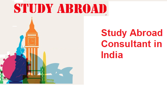 Study Abroad consultant